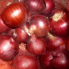 Fresh Fruits and Vegetables